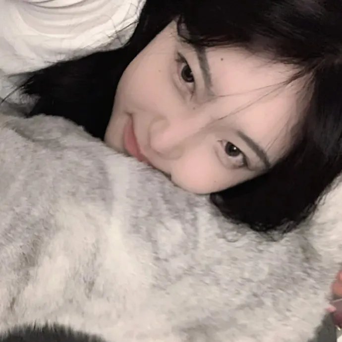 飞鹰艾迪